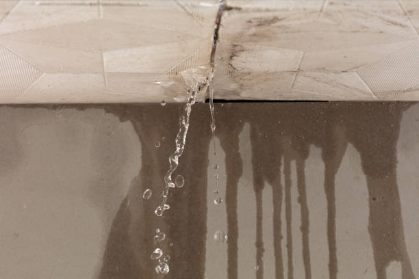 Professional Structural Drying technician working in Thorndale, TX